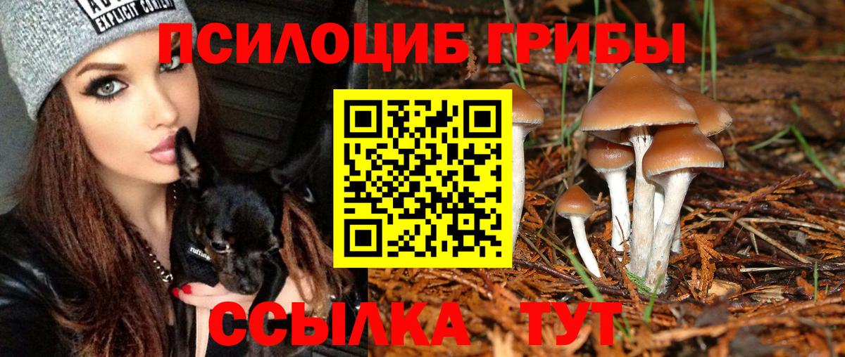 МДМА  ГАШИШ  Купить  НБОМе  Санкт-Петербург  Мефедрон  Меф кристаллы  Вход с VPN  Марихуана 